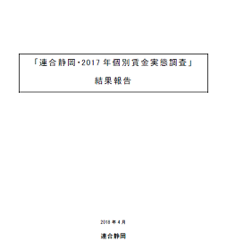 2017年個別賃金実態調査