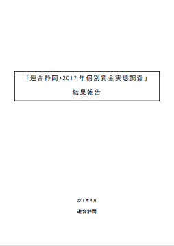 2017年個別賃金実態調査