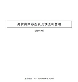 ２０２０年度男女共同参画状況調査