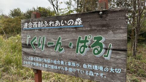 【西部４地協合同】連合西部の森「ぐりーん・ぱる」下草刈り活動実施報告