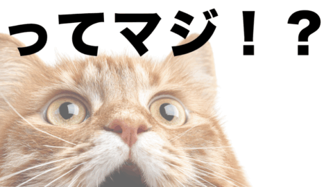 毎月05日は「れんごうの日」!