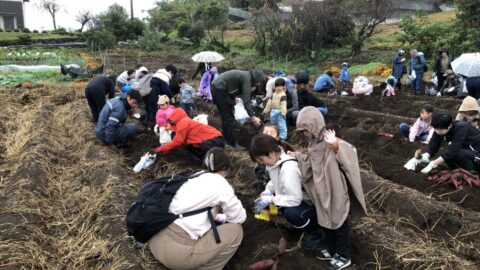 【沼駿三田地域協議会】