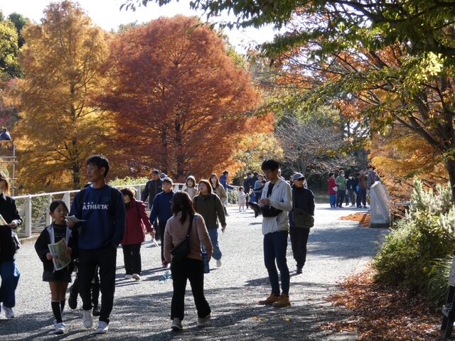 【浜松地協】健康ウォーキング