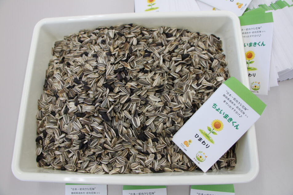 【湖西地協】『木彩の環。』委員会 ひまわりの種袋詰め