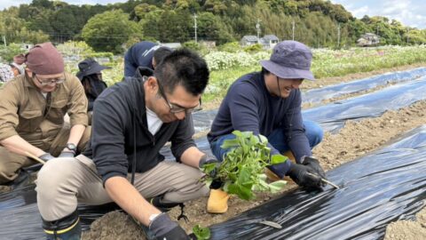【湖西地協】『木彩の環。』さつまいも苗植え