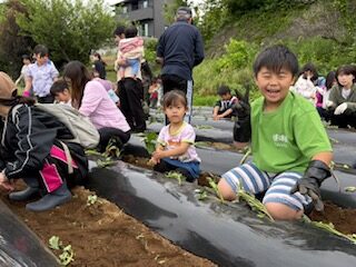 【沼駿三田地域協議会】食育体験「サツマイモ芋苗し」
