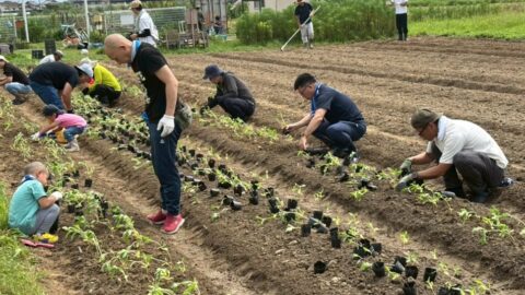 【湖西地協】『木彩の環。』委員会 ひまわりの苗植替え