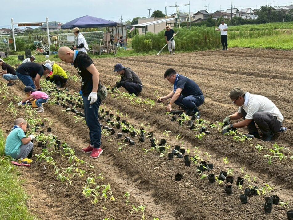 【湖西地協】『木彩の環。』委員会 ひまわりの苗植替え